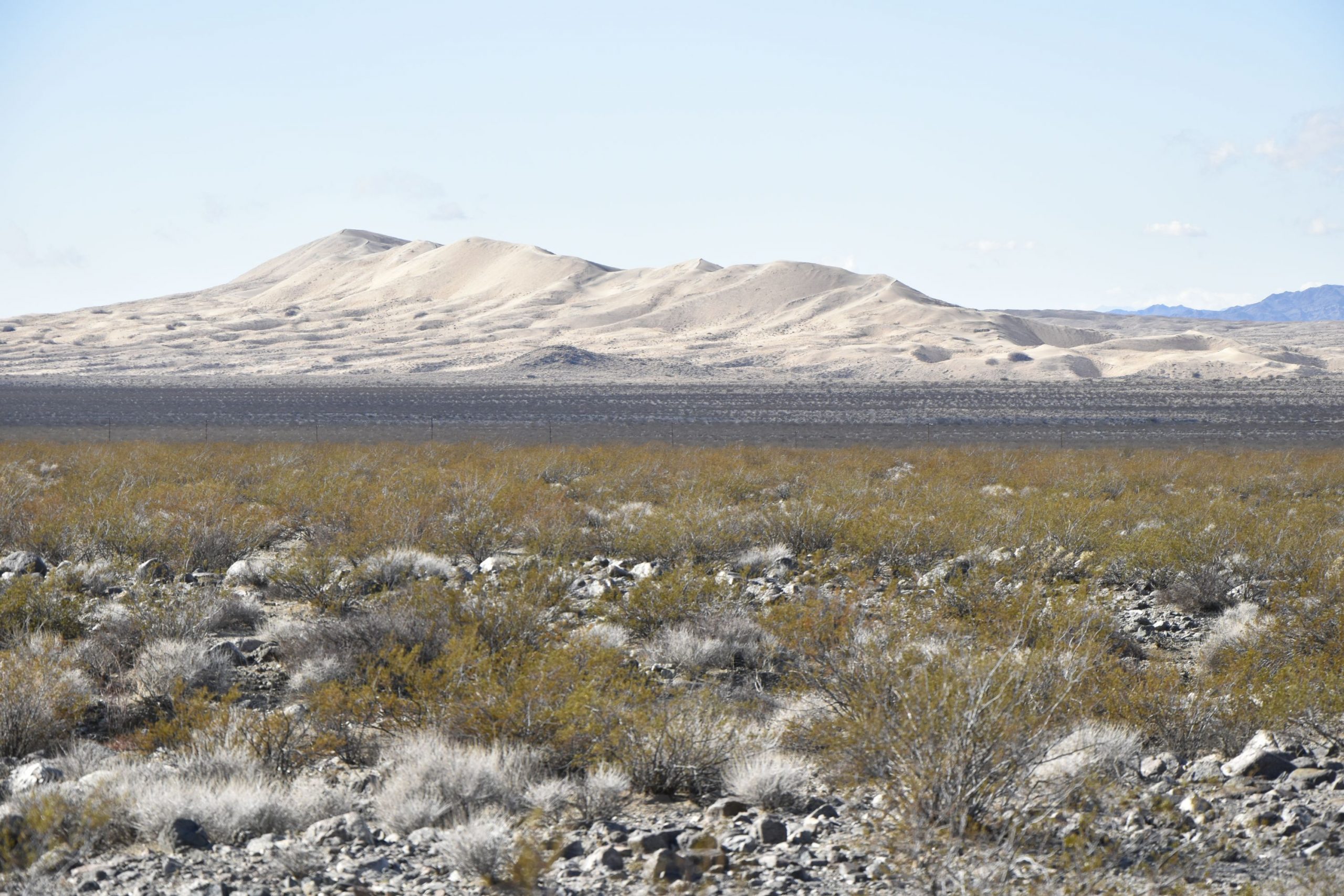 Mojave Preserve 7