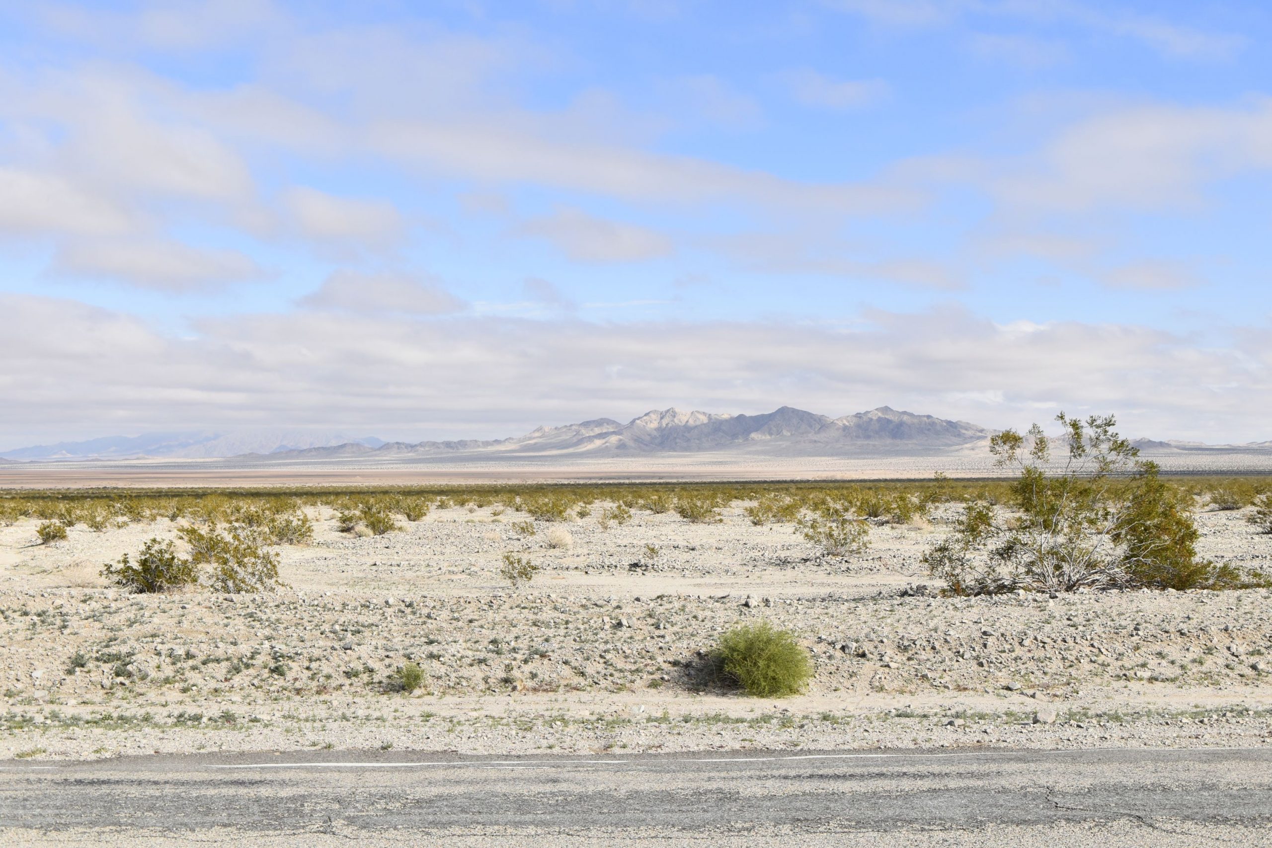Mojave Preserve 2